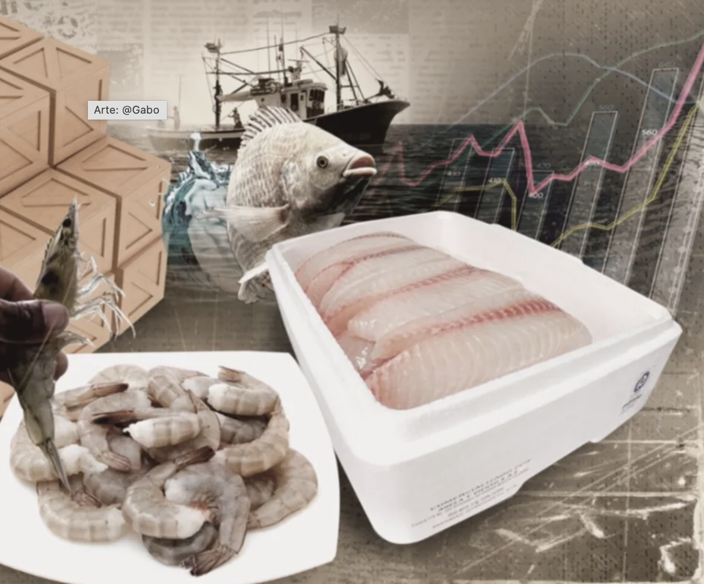 Tilapia y camarón, dos tesoros económicos de Latinoamérica